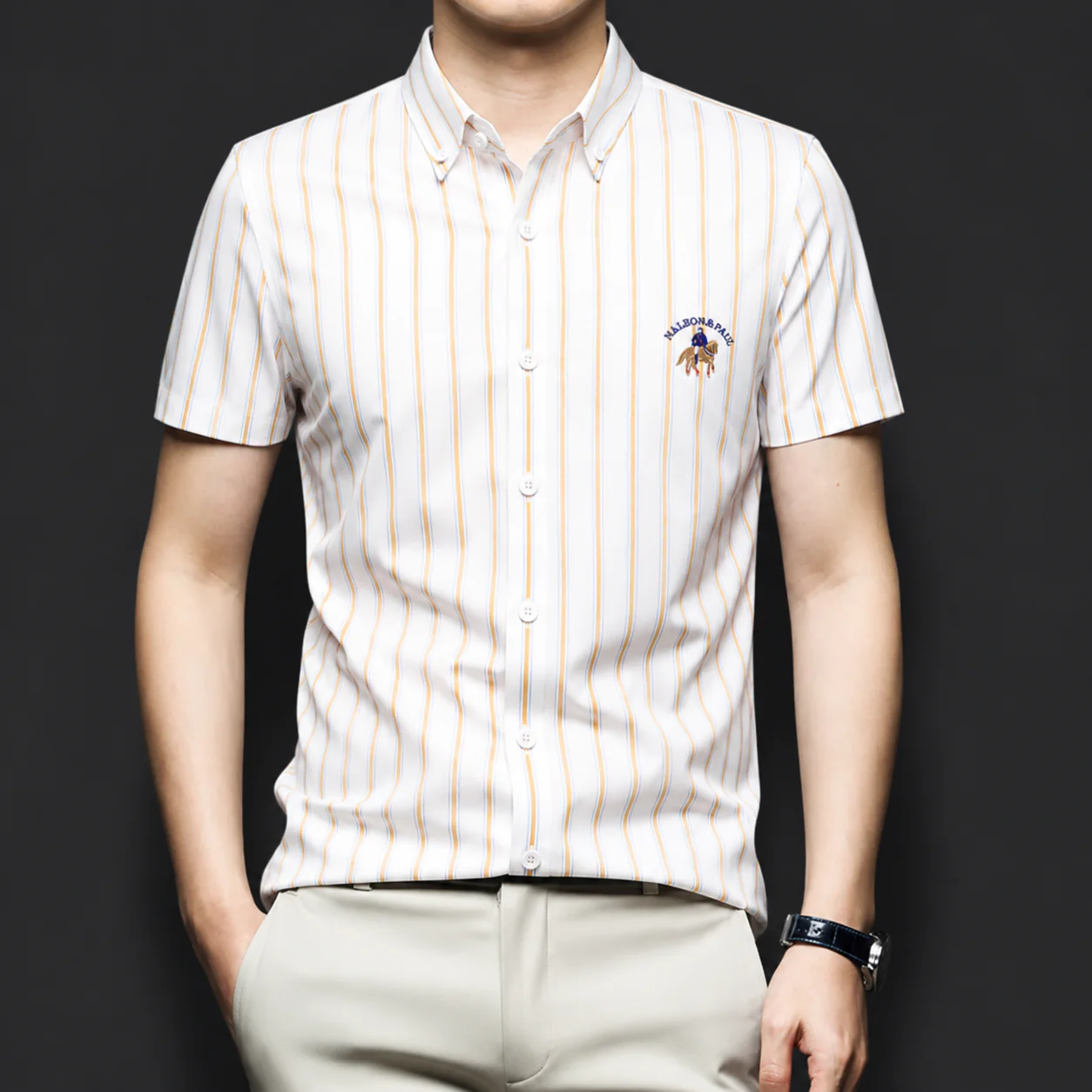 Goldenstripe Regal Shirt - Image 5