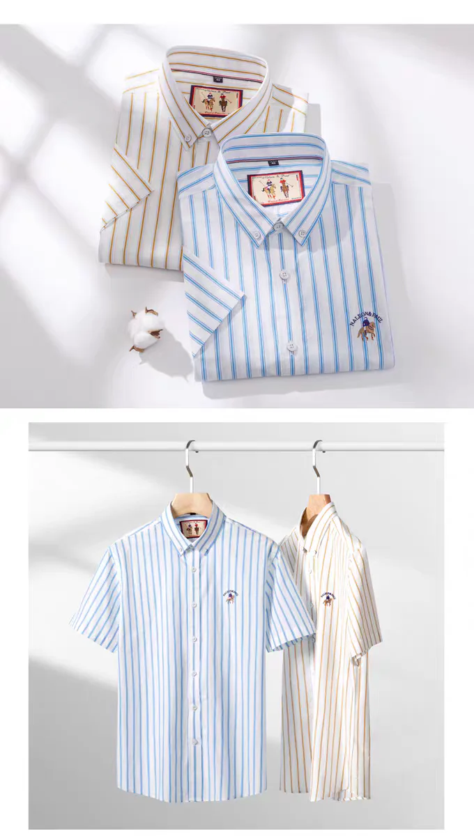 Goldenstripe Regal Shirt - Image 6